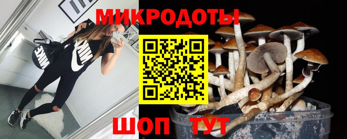 Галлюциногенные грибы GOLDEN TEACHER  Вход с VPN  Обнинск 