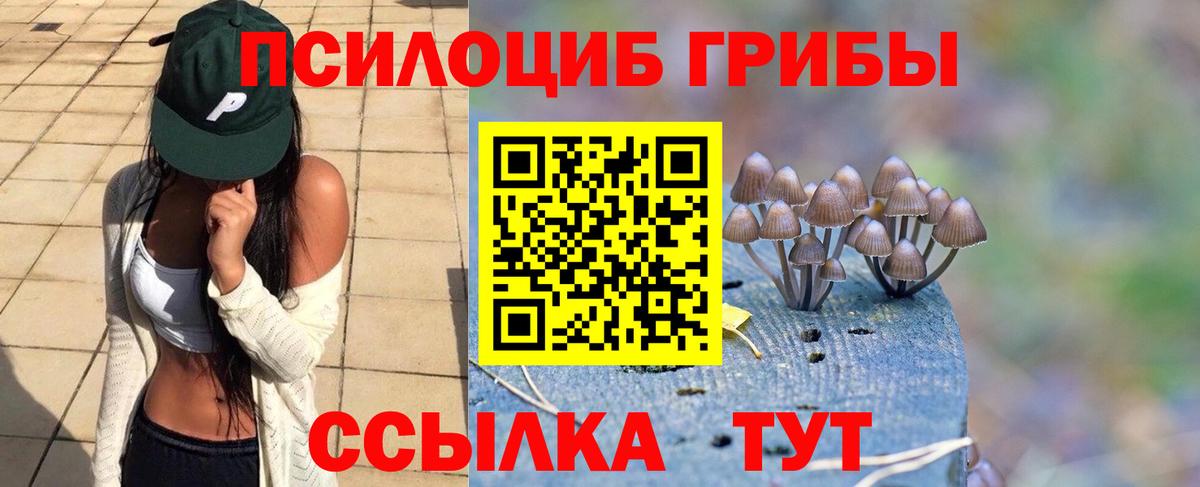 Галлюциногенные грибы Psilocybine cubensis Обнинск